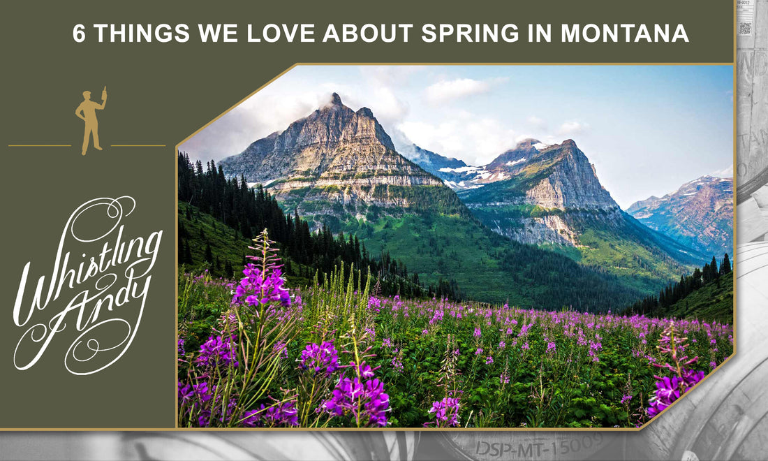 Spring Time In Montana 6 Things We Love About Spring In Montana – Whistling Andy