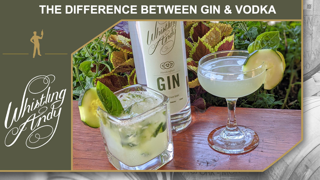 The Difference Between Gin and Vodka: So Close, Yet So Far Away