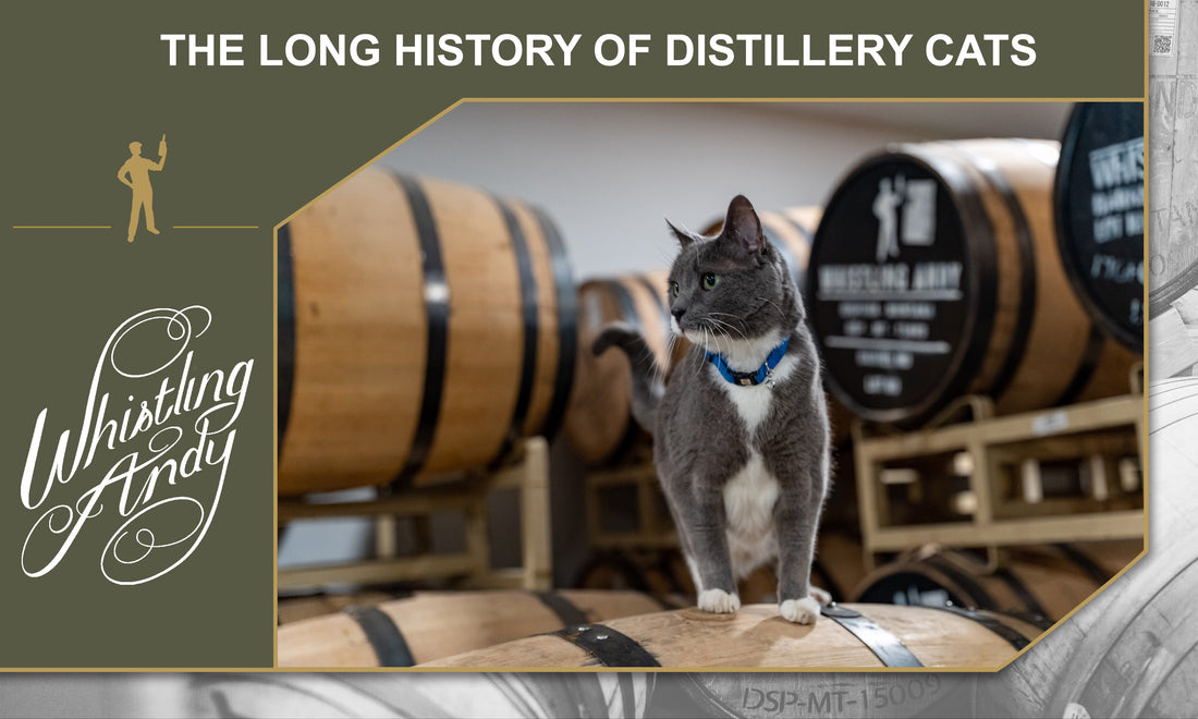 The Remarkable Tale of Whiskey the Cat: A Feline Protector of the Distillery