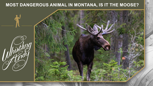 Most Dangerous Animal in Montana, Is it the Moose?
